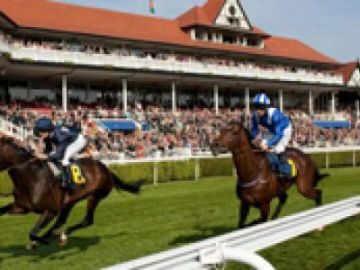 chester racing