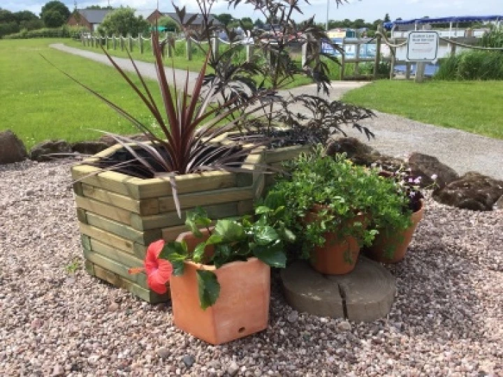 Reception Garden
