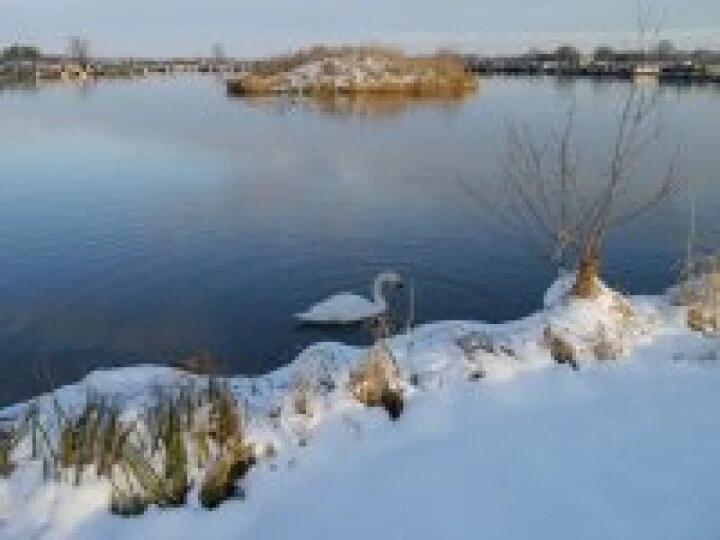 Cold on the Overwater Island