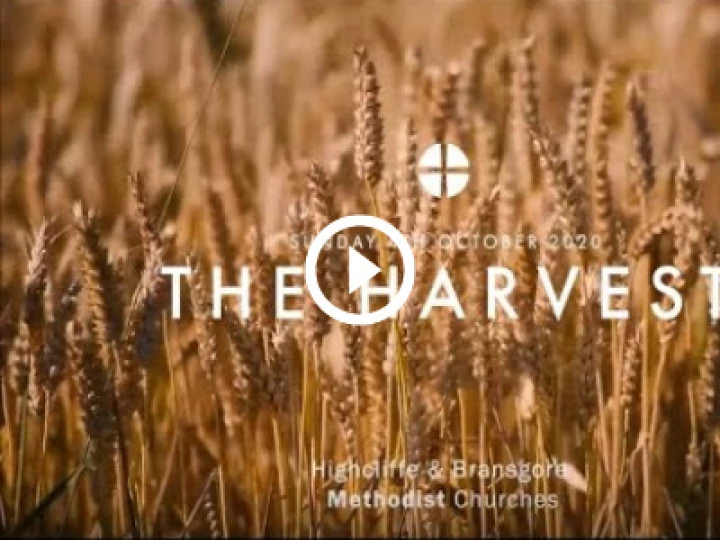 Harvest Fest