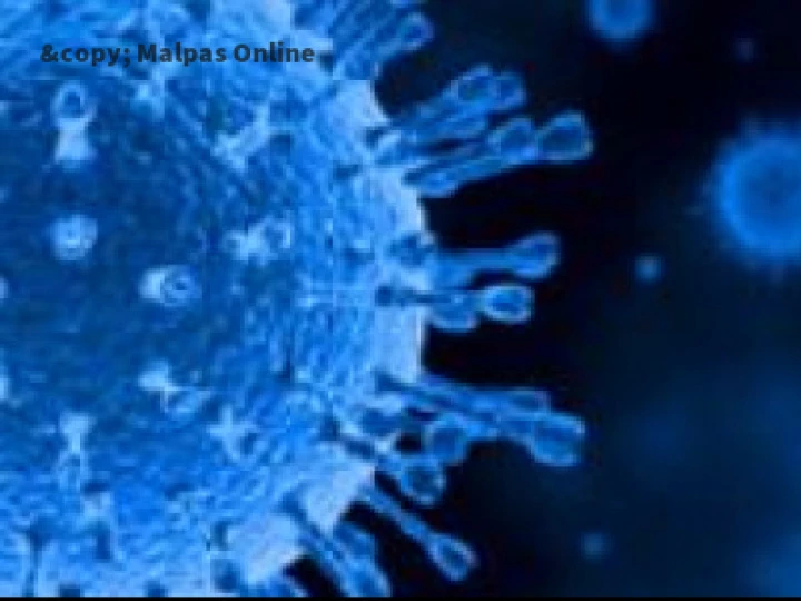 Coronavirus Covid19 logo