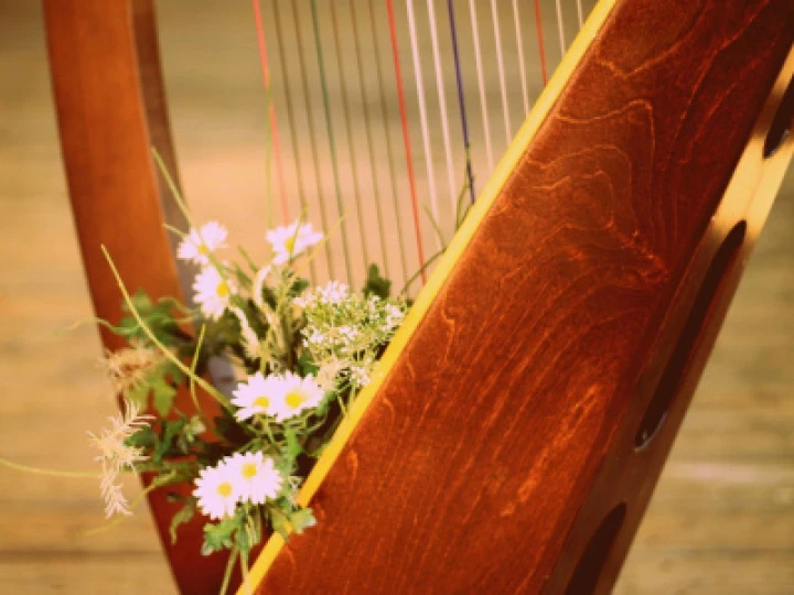 Harp