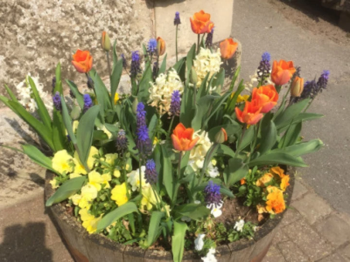 2018 spring