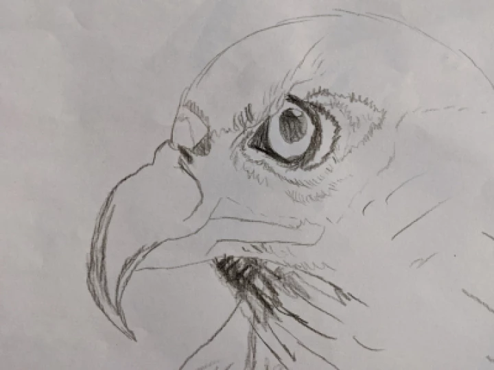 PXL_20210225_103942234