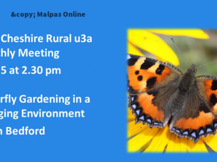 U3a July 2021 Butterfly Talk