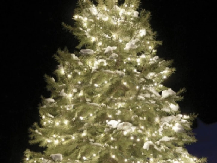 christmas62