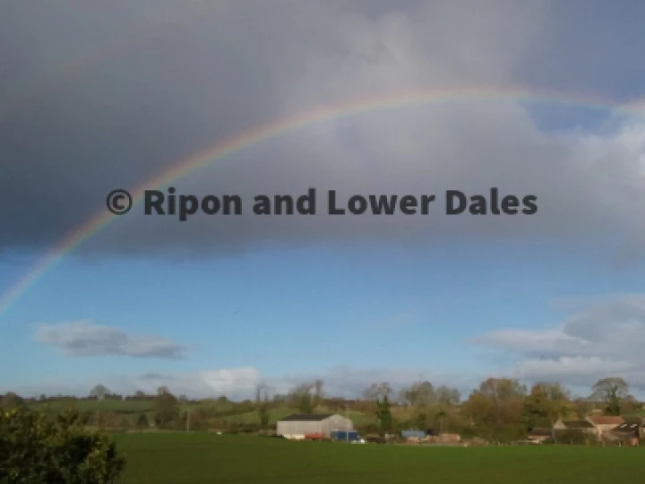 rainbow (2)