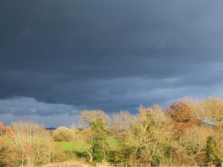 Stormbirds