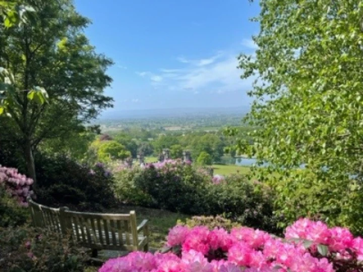 Bolesworth Rock Walk With View
