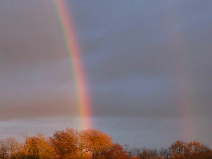 RR Pot of Gold F6973