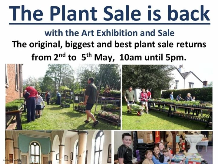 plant sale