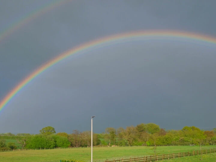 RR Rainbow F7125