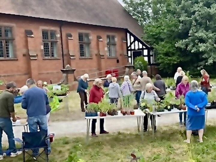 Plant sale