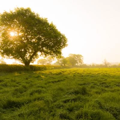 Dawn in the Sandstone Ridge Landscape 2