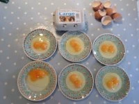 Double Yolk Bradmoor Eggs