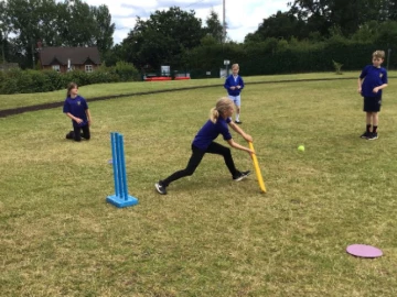 Y4 Cricket