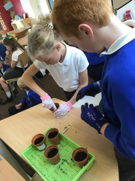 Planting seeds PSHE