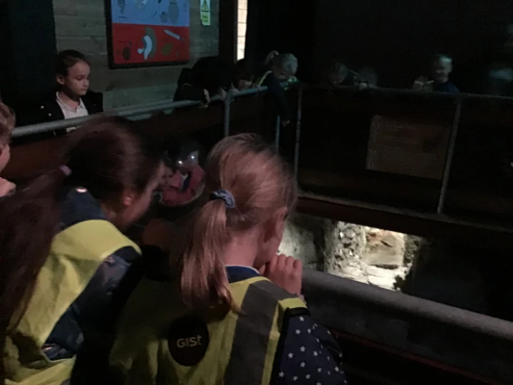 Roman Trip 2.11.22