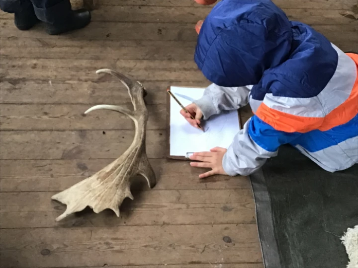 Forest schools