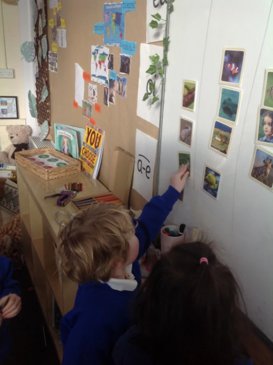 Sorting animals