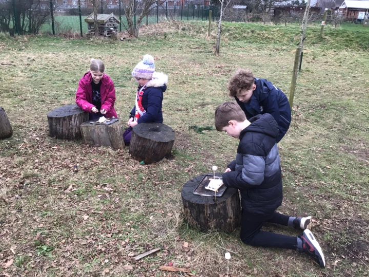 Forest schools