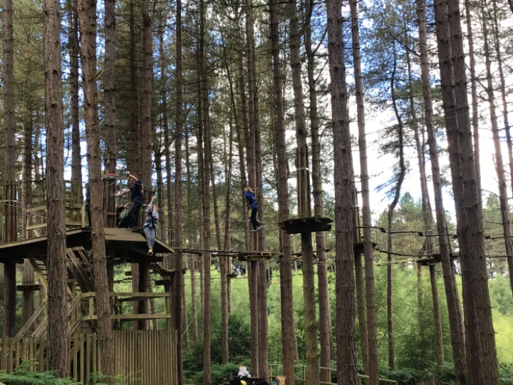 Go Ape