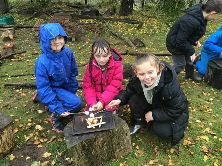 Forest school 2