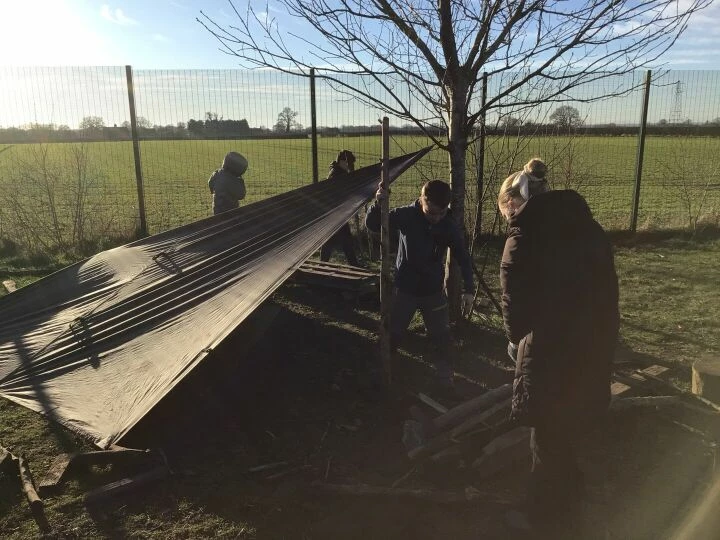 Forest schools history