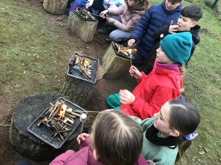 Forest Schools
