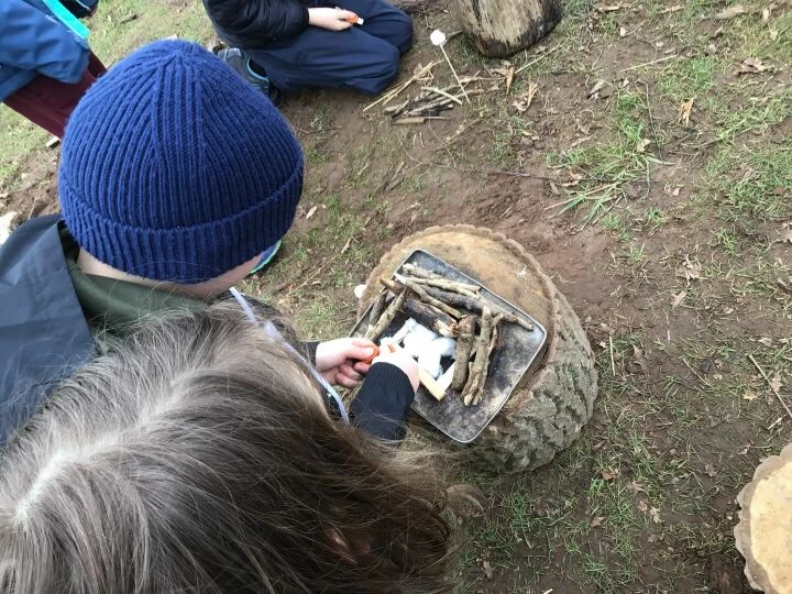 Forest schools