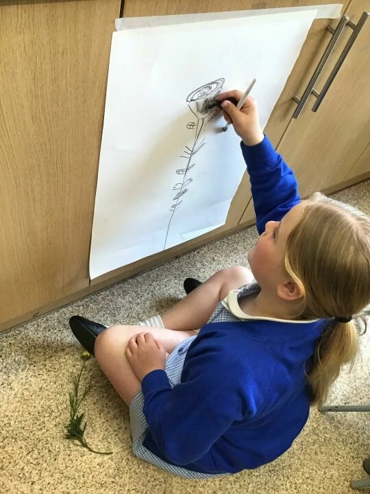 Art drawing large
