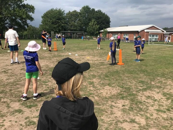 Cricket