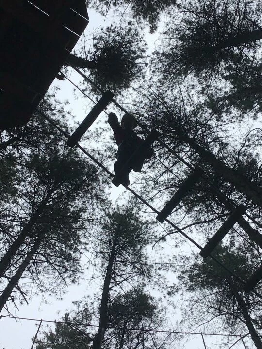 Go Ape