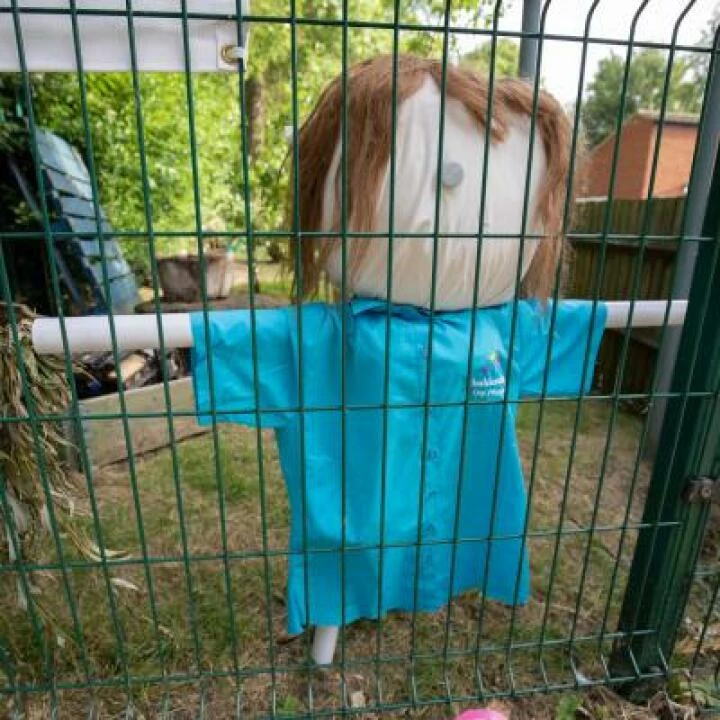 Scarecrow Festival 72