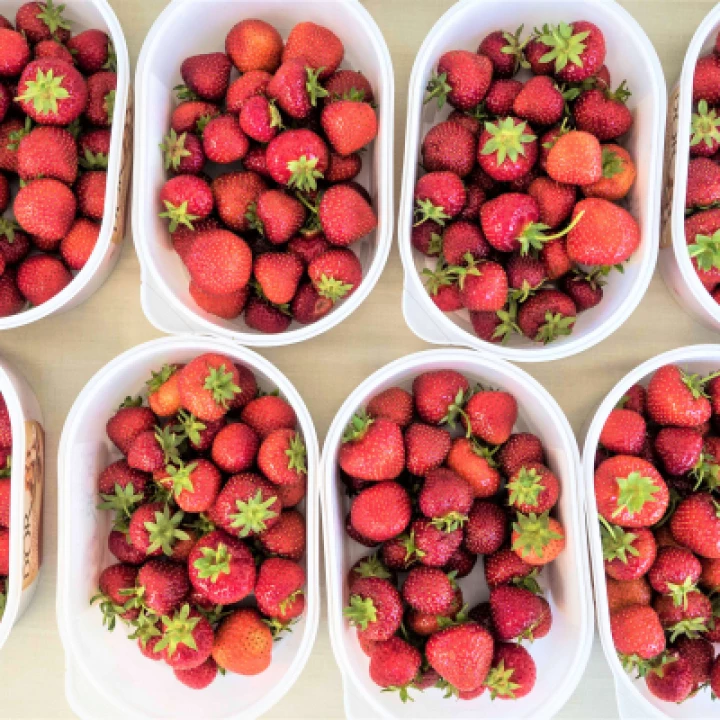 Strawb 1202