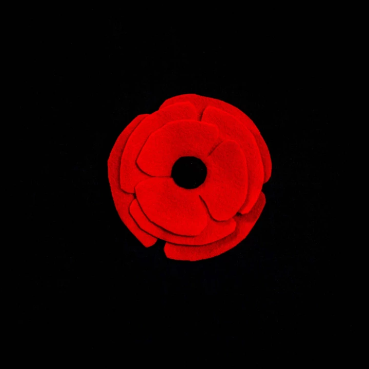 BBREM-1007