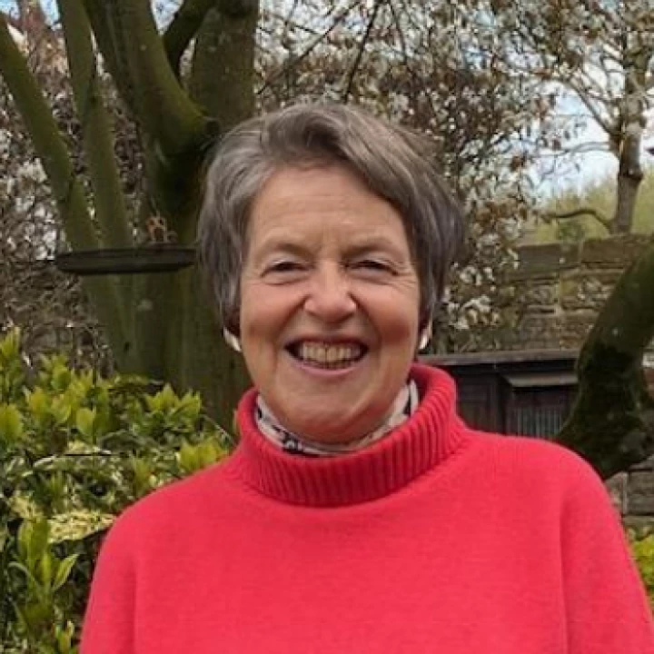 Susan Sellers DL