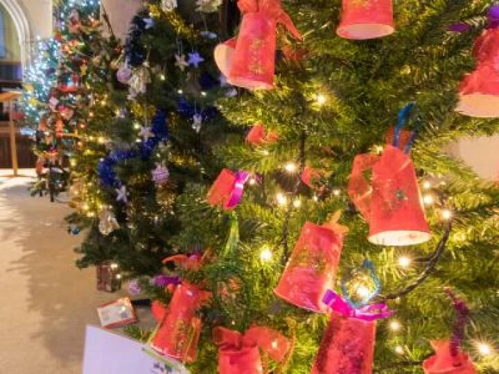 Christmas Trees 06