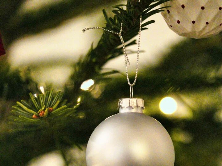 Silver bauble (resized)