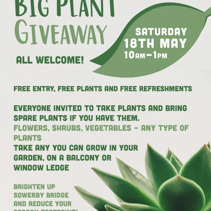 Big Plant Giveaway Poster 2024