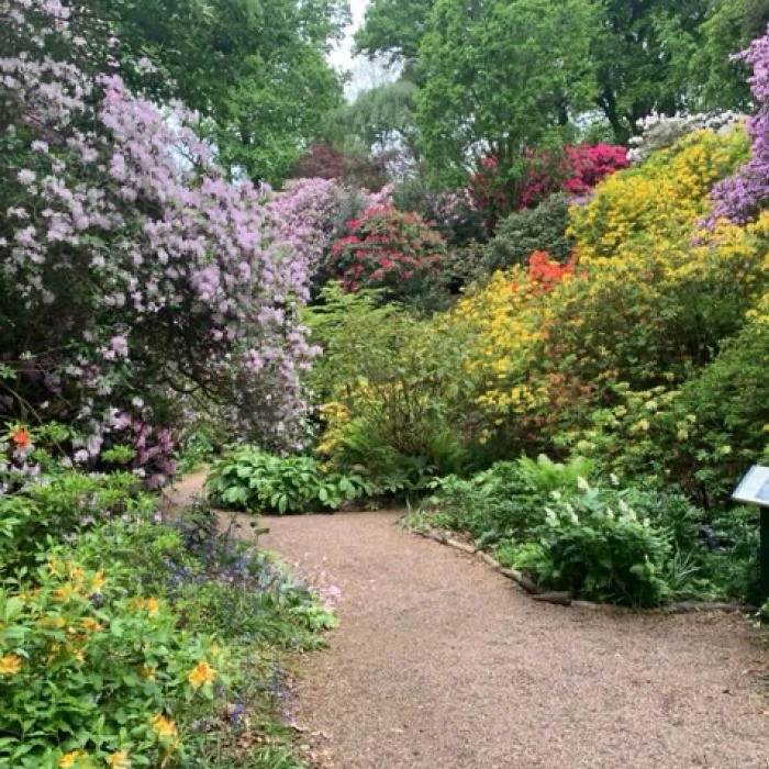Dorothy Clive Gardens