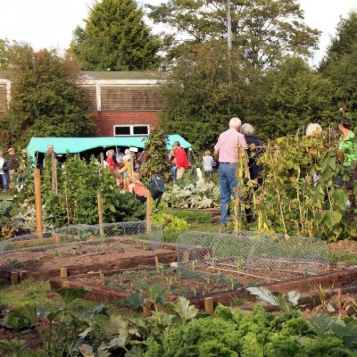 Allotments – 1