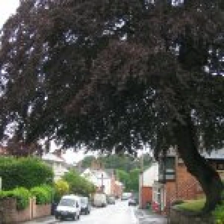 Lower High St