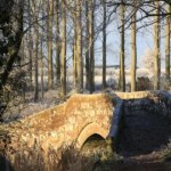 Roman Bridge in frost