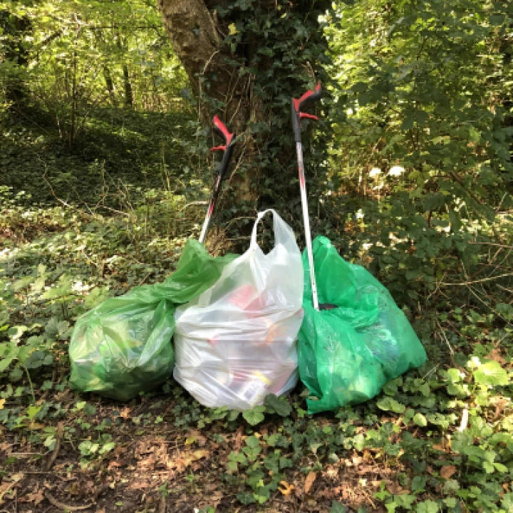litter woodland