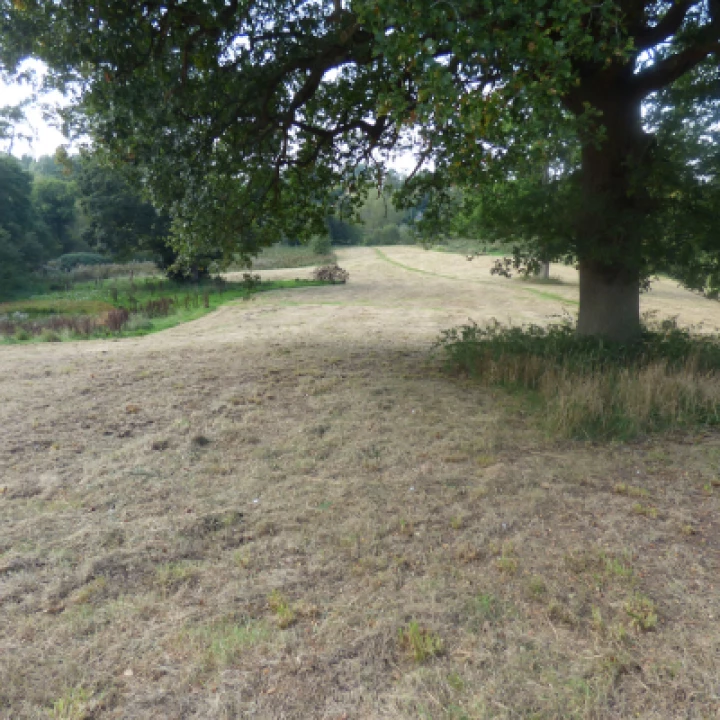 Turn Pike Field