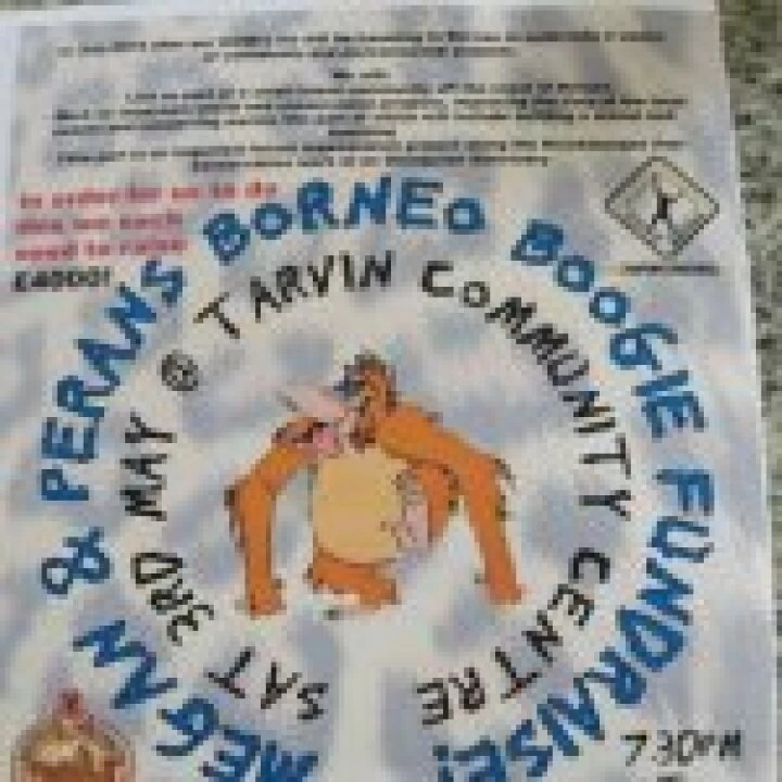 Borneo Boogie