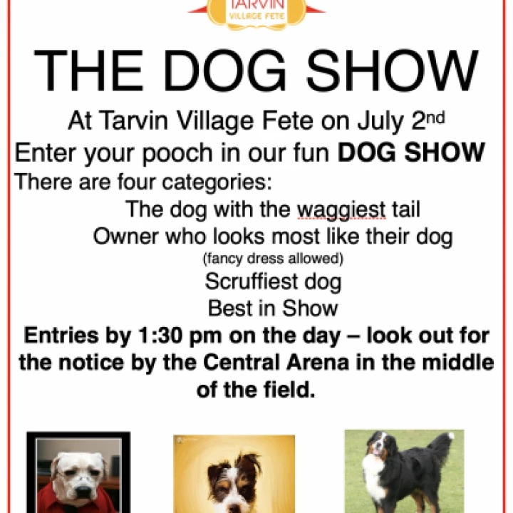 Dog Show Poster Fete 2022