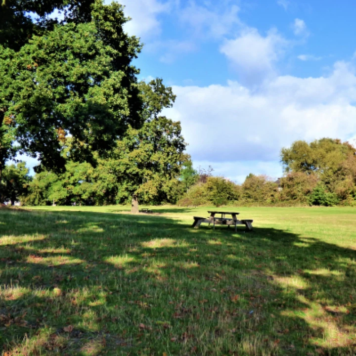 Turnpike Field