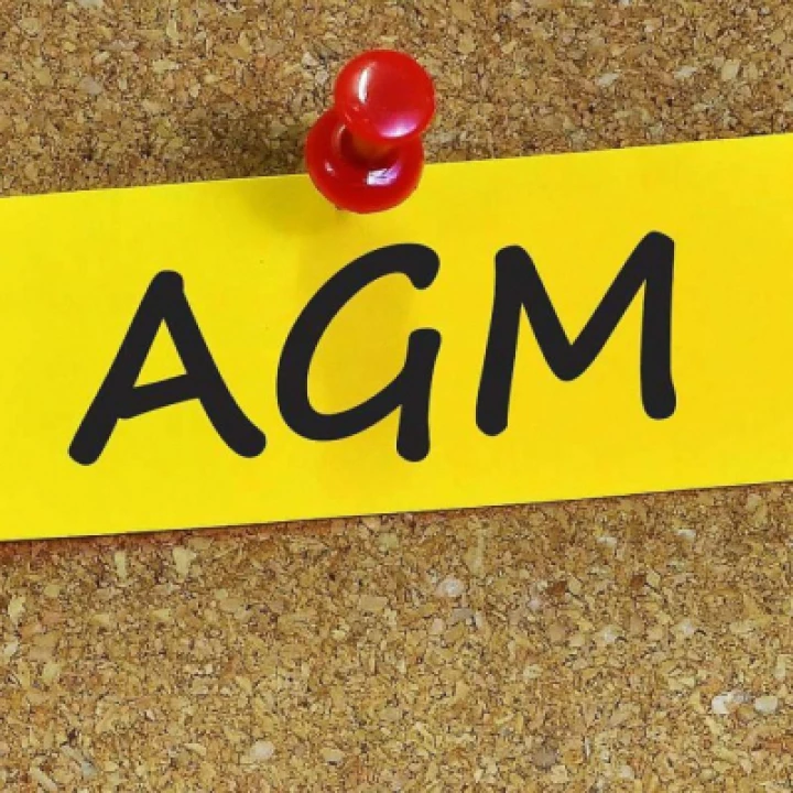 AGM-image